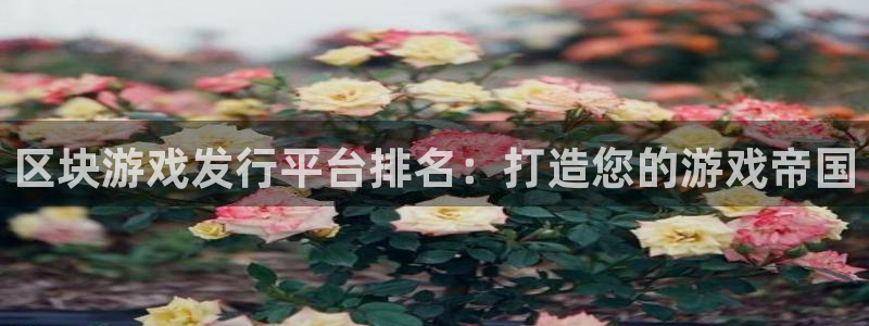 门徒平台登录注册