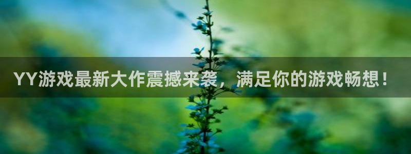 门徒平台开户要求是什么