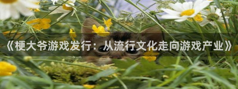 门徒平台例7O777