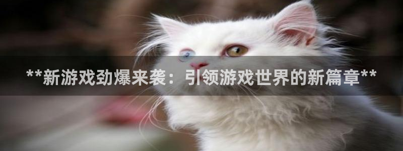 门徒平台注册中心在哪里