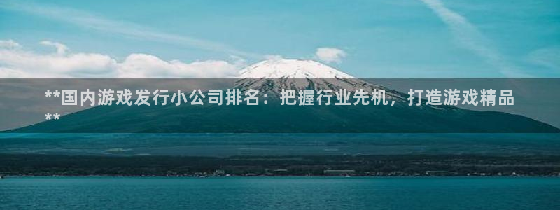 门徒平台开户要求标准：**国内游戏发行小公司排名：把握行业先机，打造游戏精品
**