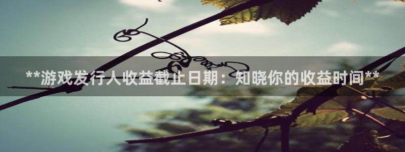 门徒娱乐平台代理登录：**游戏发行人收益截止日期：知晓你的收益时间**