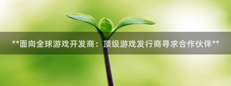 门徒平台招商：**面向全球游戏开发商：顶级游戏发行商寻求合作伙伴**