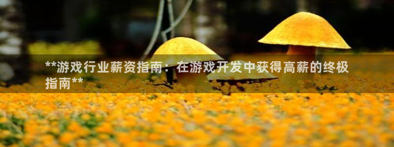 门徒平台代理：**游戏行业薪资指南：在游戏开发中获得高薪的终极
指南**