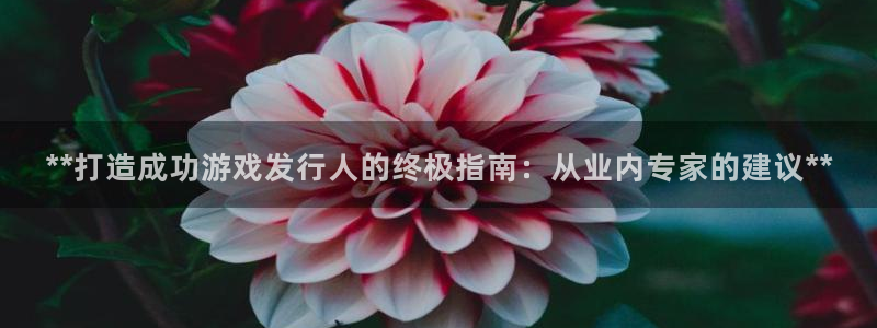 门徒平台注册登陆不上：**打造成功游戏发行人的终极指南：从业内专家的建议**