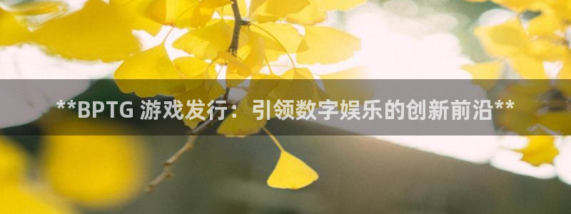 门徒平台例7O777：**BPTG 游戏发行：引领数字娱乐的创新前沿**