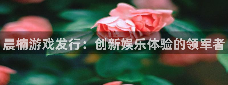 门徒娱乐平台登录官网：晨楠游戏发行：创新娱乐体验的领军者