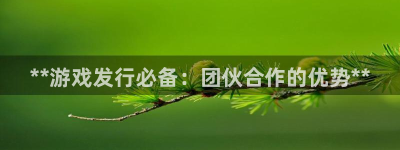 门徒平台会员注册流程：**游戏发行必备：团伙合作的优势**