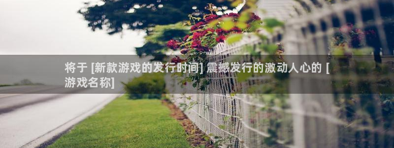 门徒平台虎 411O31 门徒