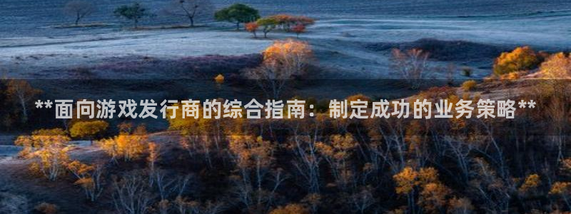 门徒娱乐平台登录：**面向游戏发行商的综合指南：制定成功的业务策略**