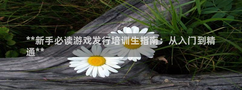 门徒平台万 37oo735：**新手必读游戏发行培训生指南：从入门到精
通**