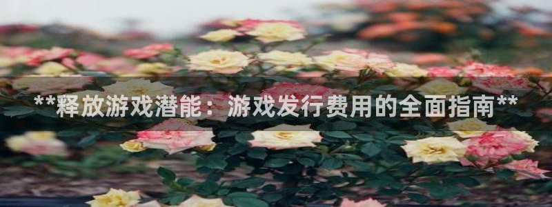 门徒平台上级：**释放游戏潜能：游戏发行费用的全面指南**