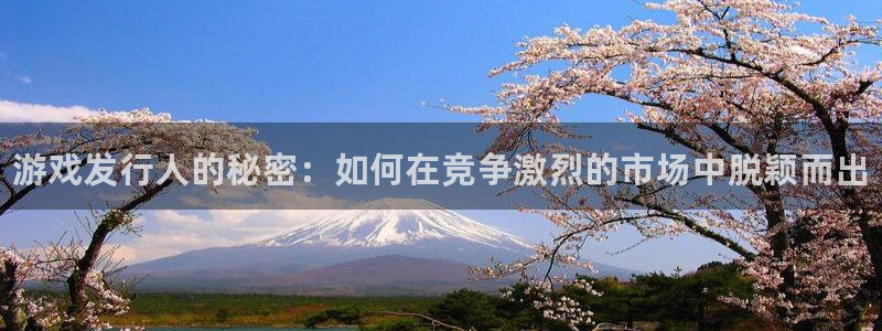 门徒平台推 58534I 平台