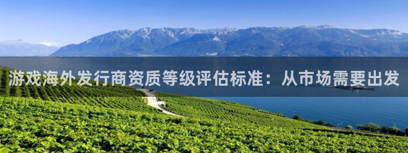 门徒娱乐平台登录地址在哪：游戏海外发行商资质等级评估标准：从市场需要出发
