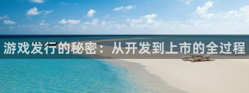 门徒娱乐他494o3 主管：游戏发行的秘密：从开发到上市的全过程