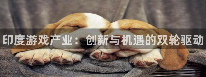 门徒平台登录地址：印度游戏产业：创新与机遇的双轮驱动
