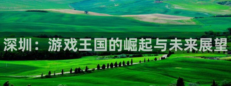 门徒平台云 411o31 门徒：深圳：游戏王国的崛起与未来展望