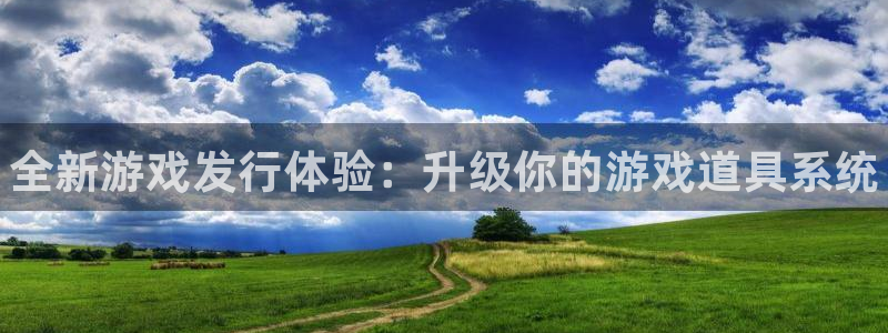 门徒娱乐总代理：全新游戏发行体验：升级你的游戏道具系统