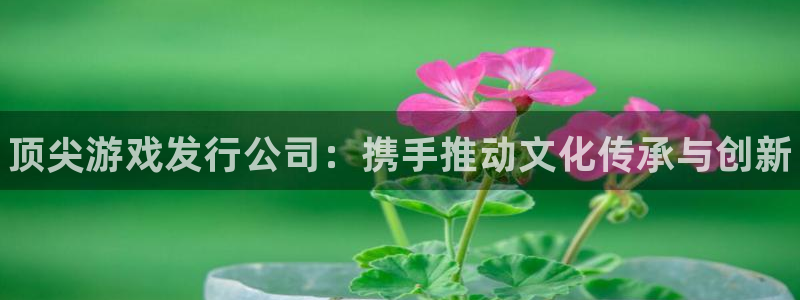 门徒平台注册中心电话