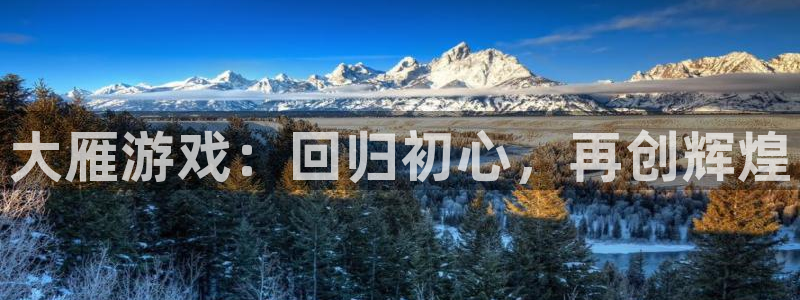 门徒平台官网注册入口：大雁游戏：回归初心，再创辉煌