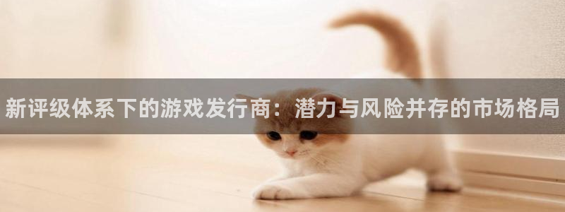 门徒平台登录步骤是什么：新评级体系下的游戏发行商：潜力与风险并存的市场格局